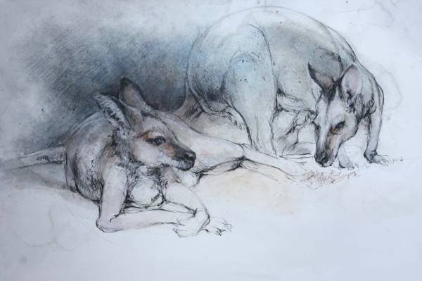 Companions